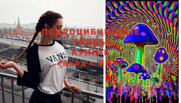 стаф Абаза