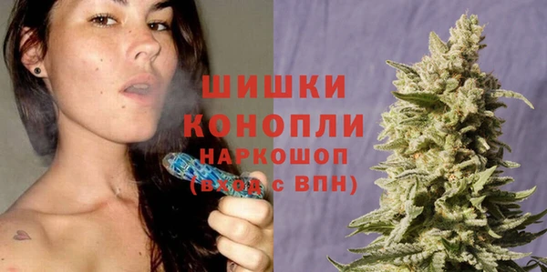 стаф Абаза