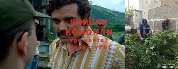 стаф Абаза